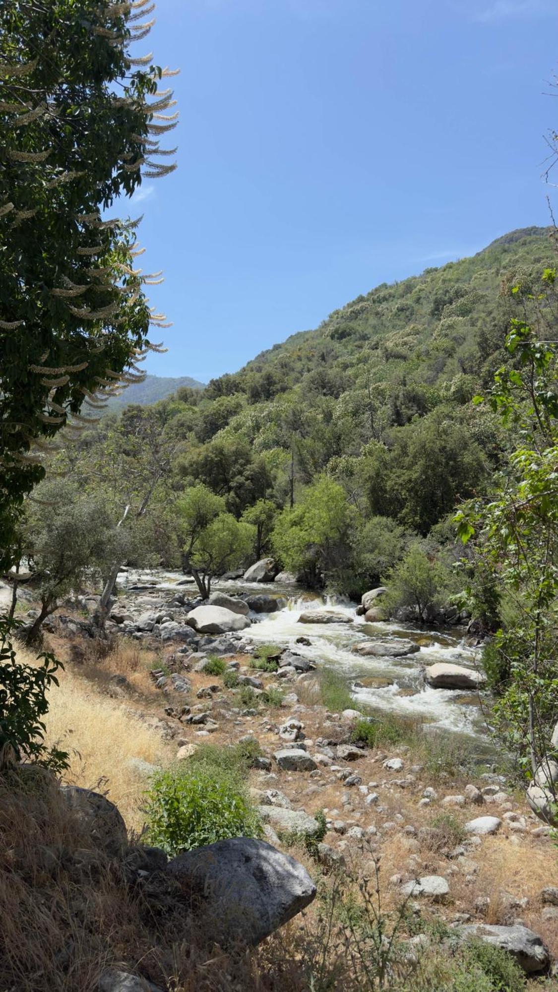 Paradise Ranch - Abundance Tent Three Rivers